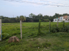Land for School, College, Hospital, Cold Storage ETC